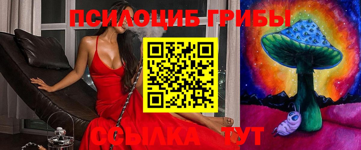 Махачкала  Псилоцибиновые грибы Psilocybe  Вход с VPN 